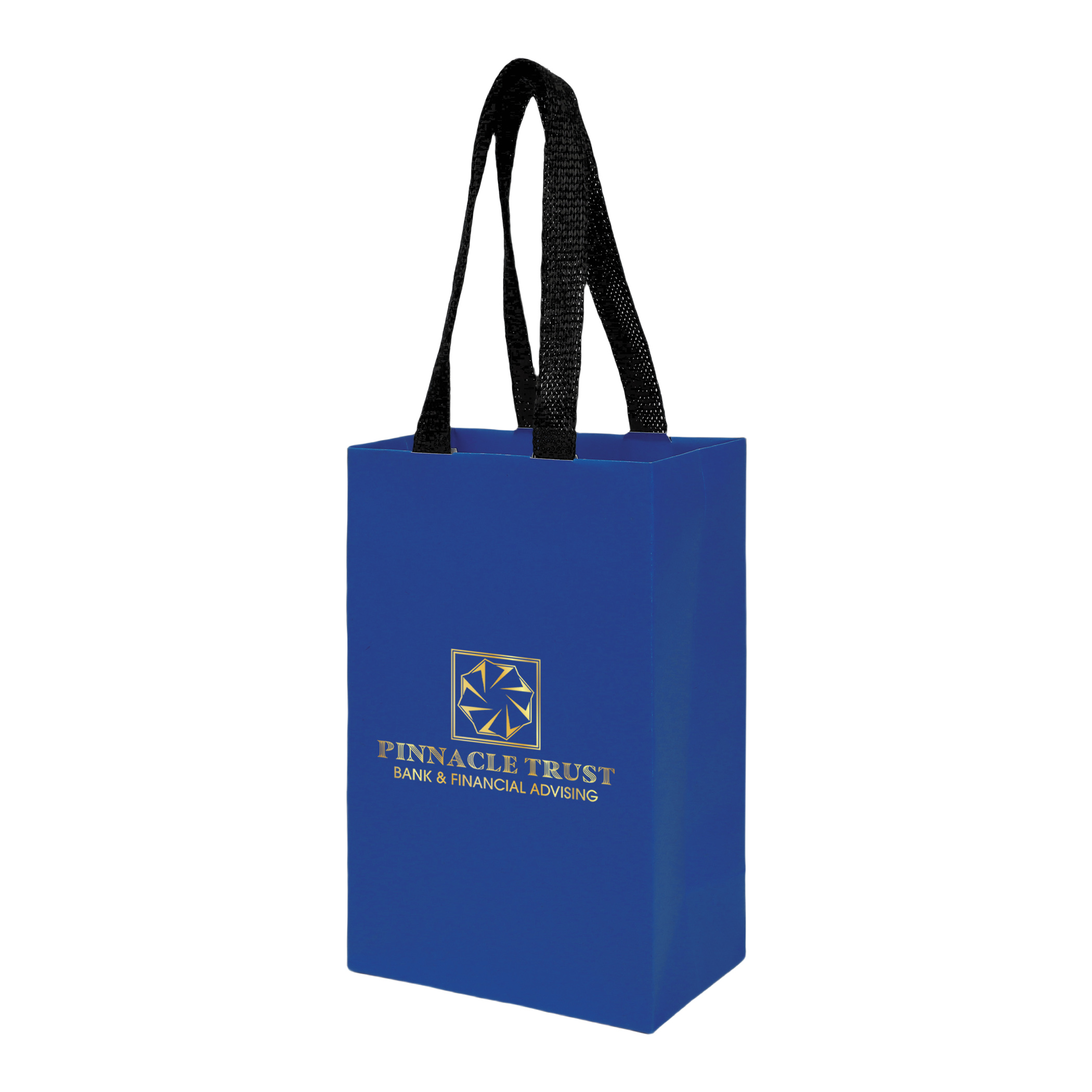 Sugarcane Paper Bag with Embedded Web Style Paper Handles - 8