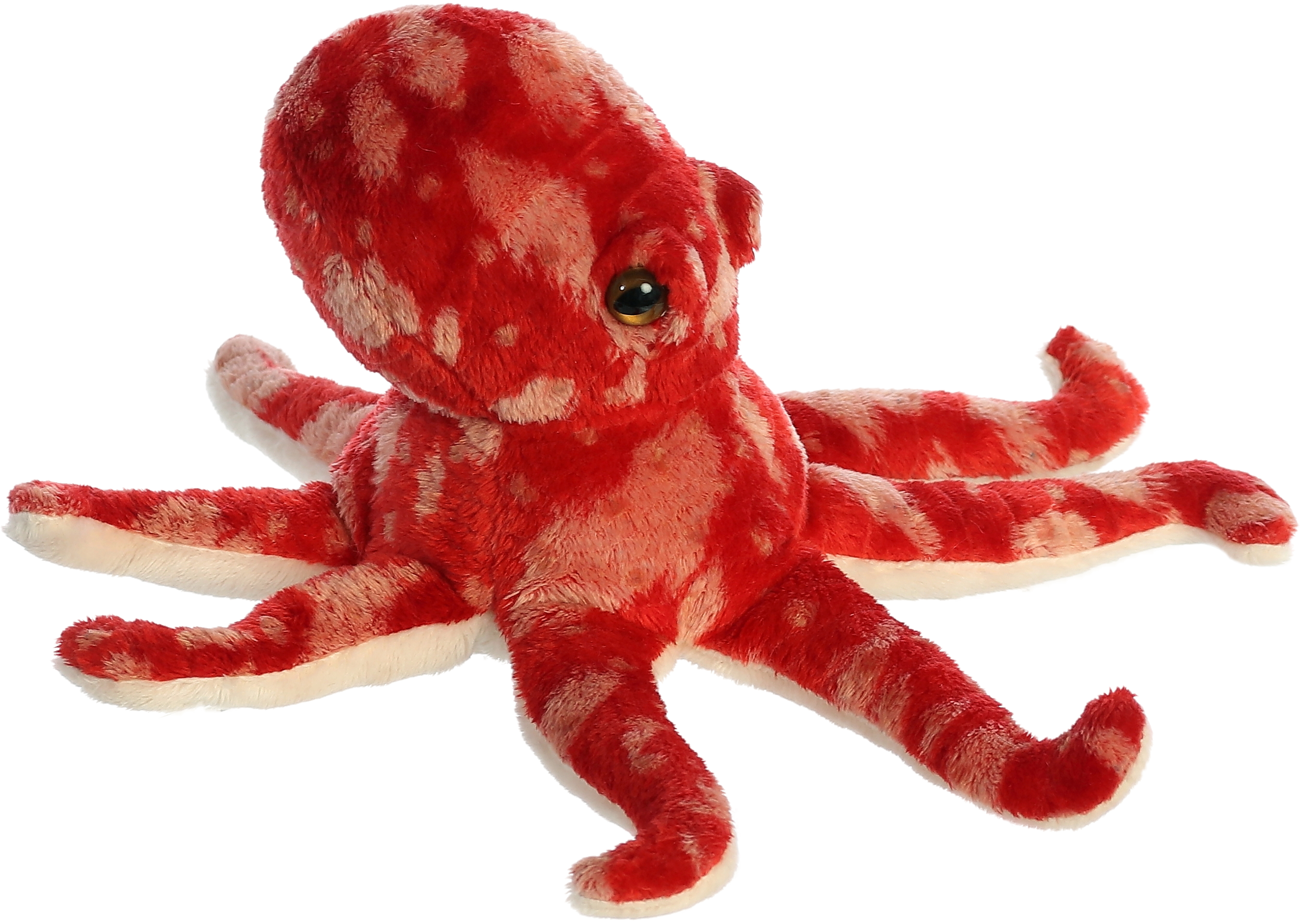 8" Pacy Octopus 1