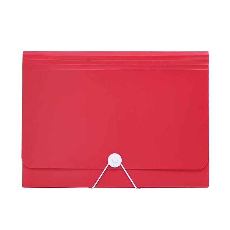 PP Plastic 13-Pocket Expanding A4-Size Portfolio File Folder 2