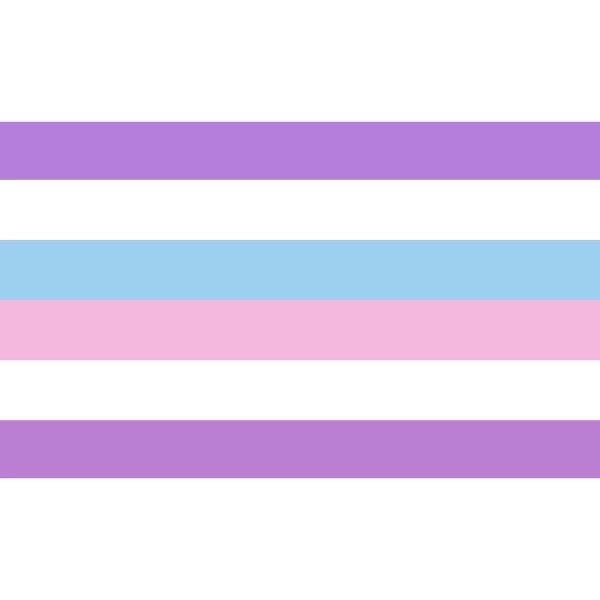 Bigender Premium Car Flag 1