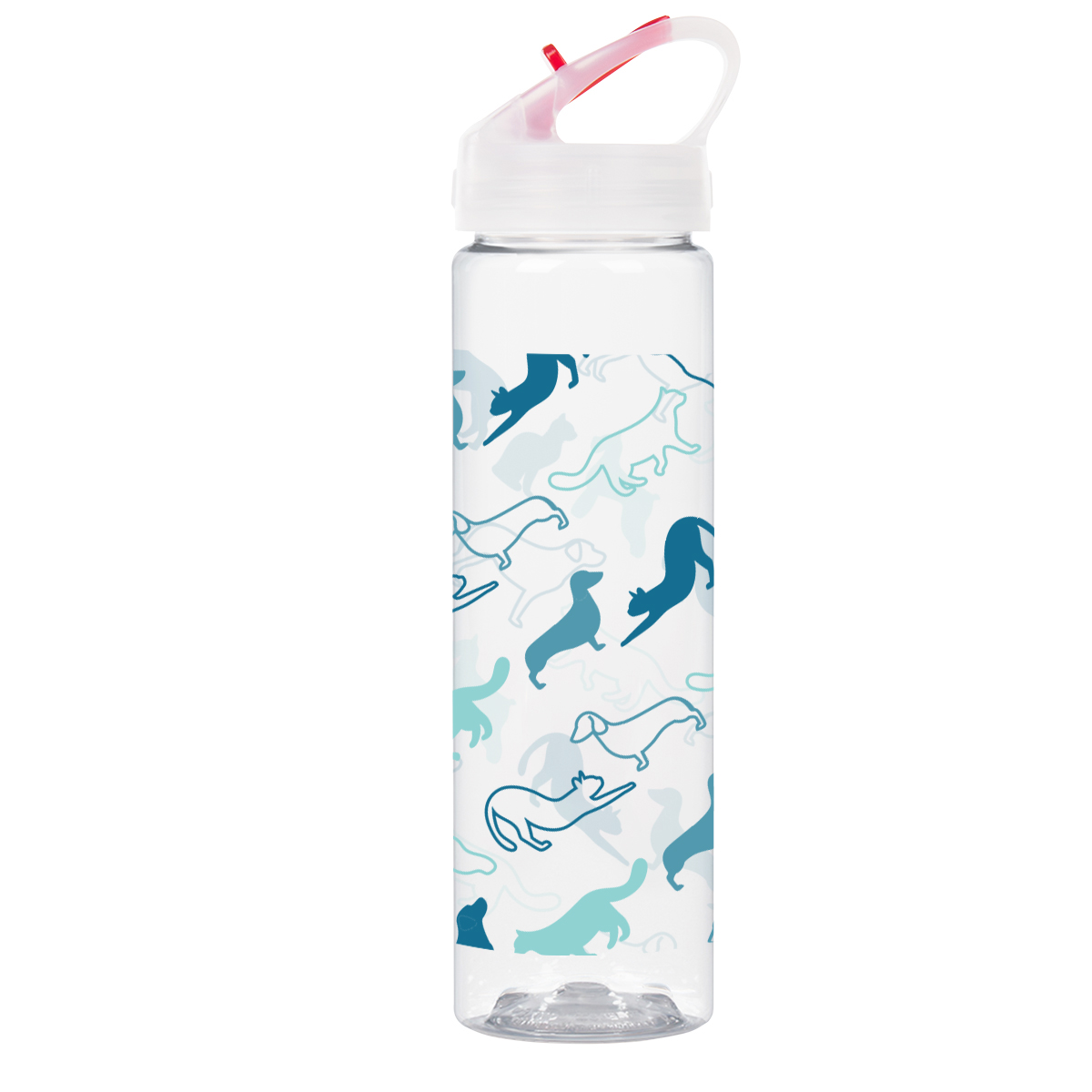 25 Oz. Full Color Brooks Bottle 6