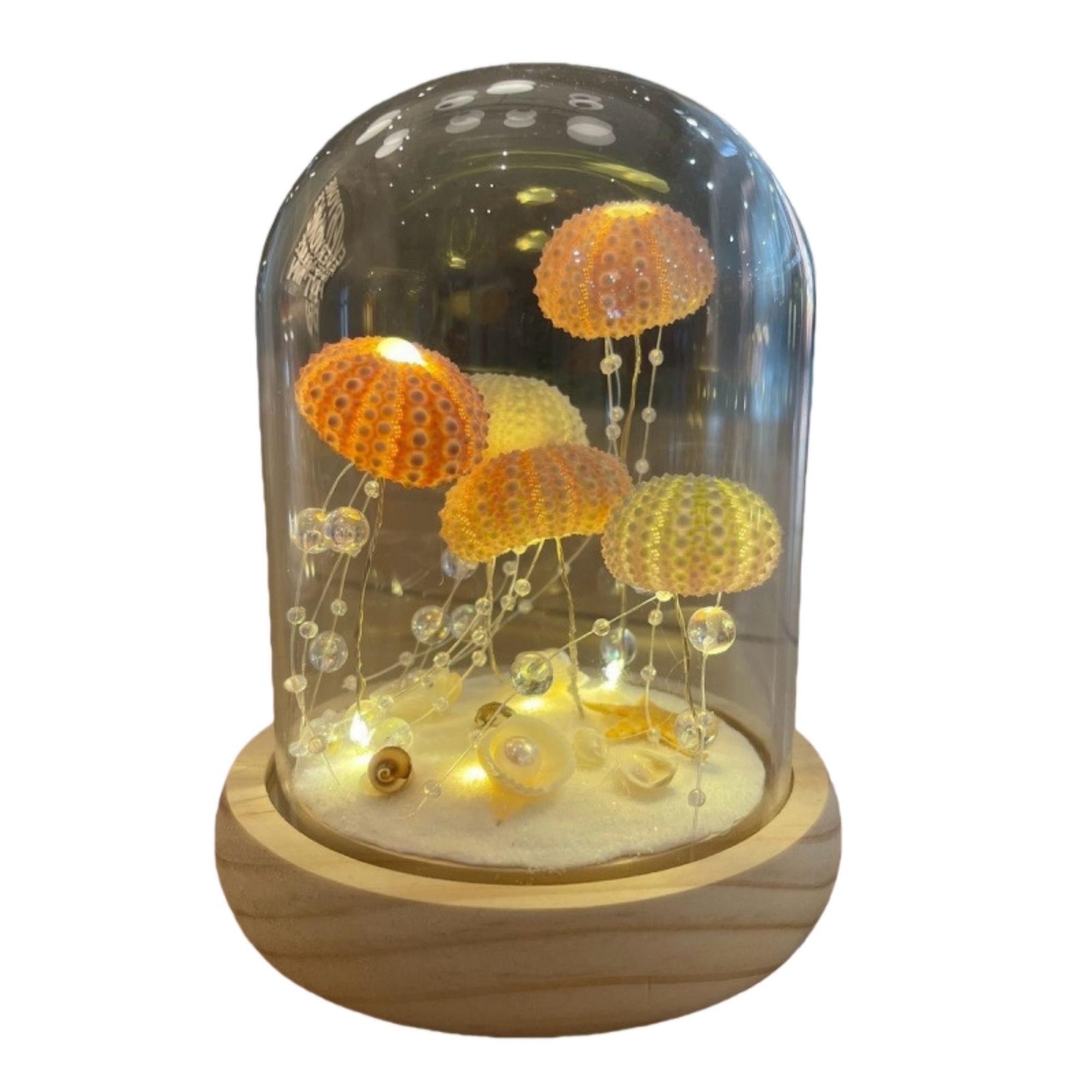 Illuminated Seashell Ornament Ambient 8