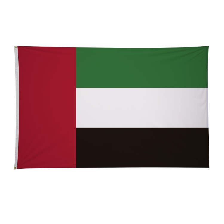 5' x 8' International Flags 33