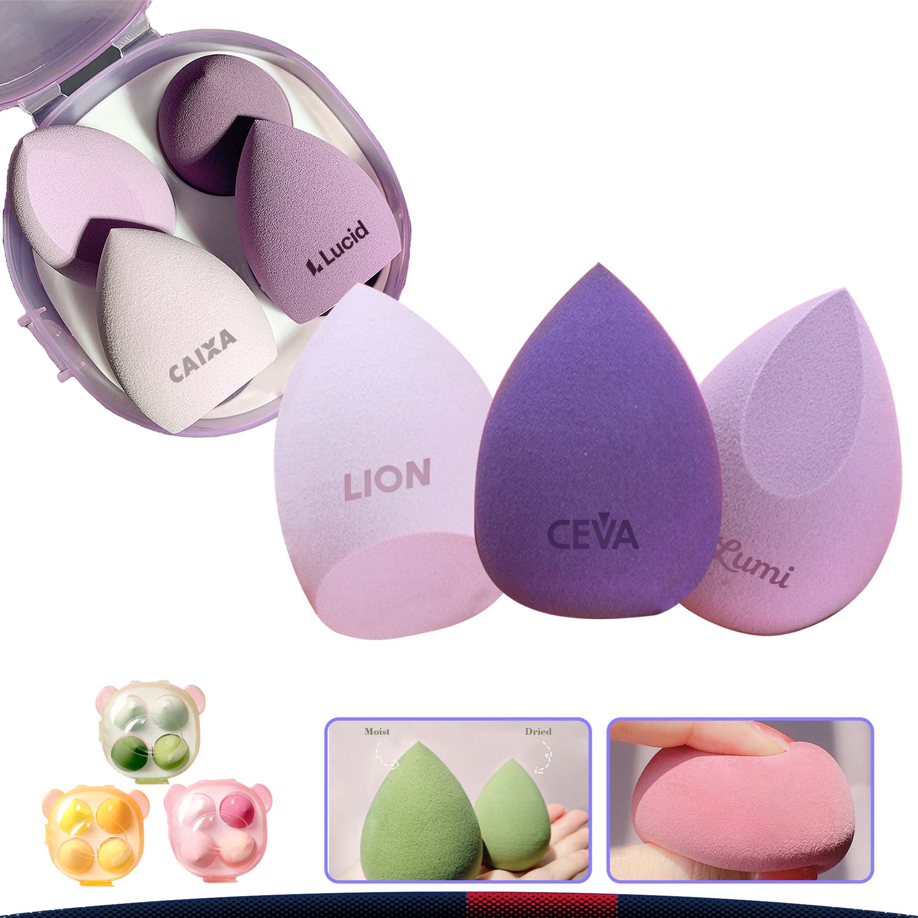Bear Beauty Sponge Set 10