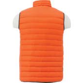 Men's Whistler Light Down Vest 55