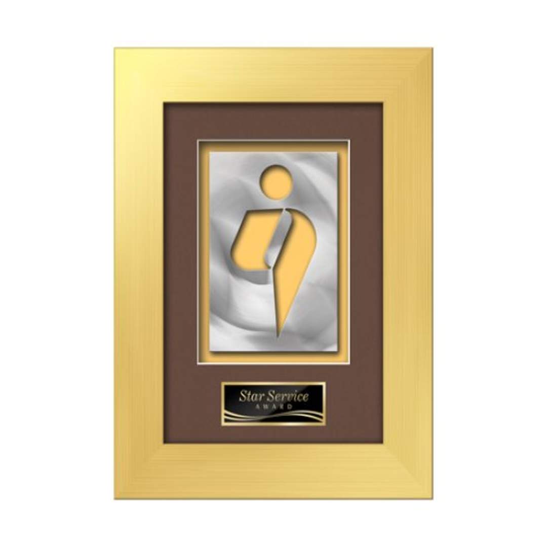 Premier Aquashape™ Award - Gold 2
