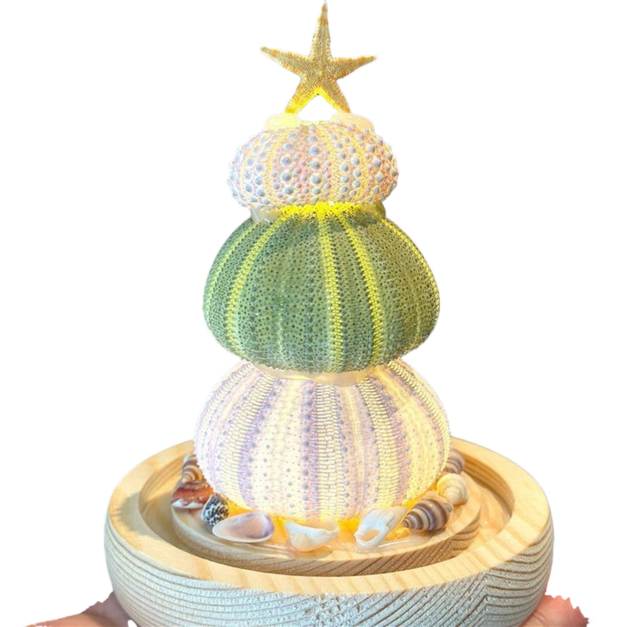 Illuminated Seashell Ornament Ambient 3