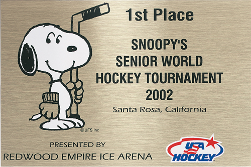 Metal Plates & Signage: 30-40 sq. in. 2