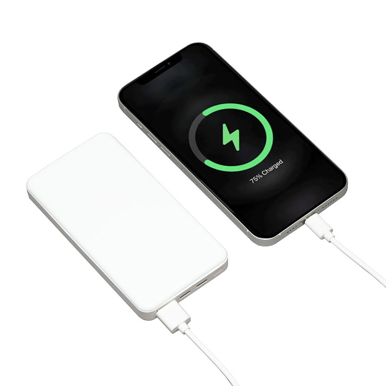 "POWERVAULT" 10,000 mAh UL Certified Power Bank 4