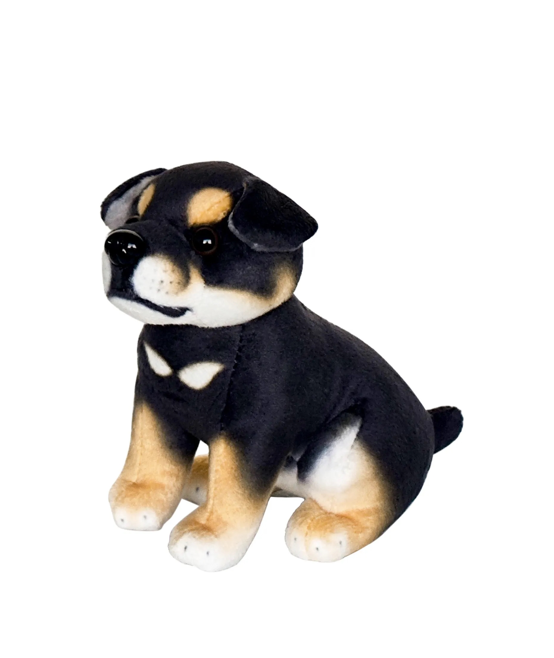 Rottweiler 2