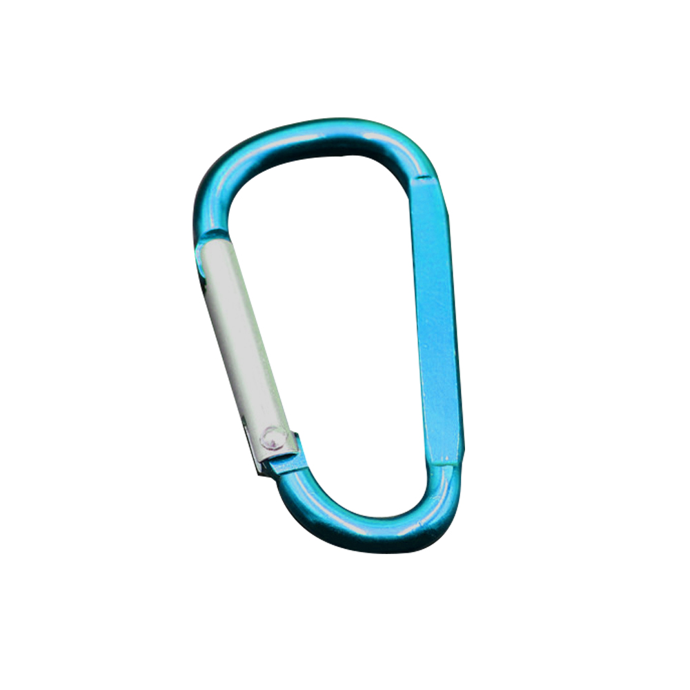 Carabiner Key Chain 4