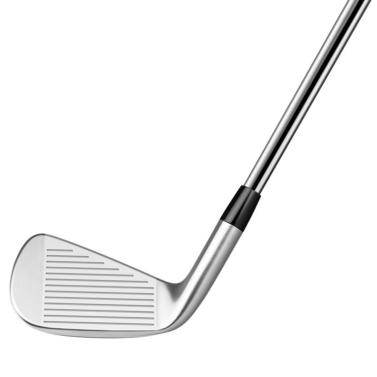 Taylormade P790 Irons 2