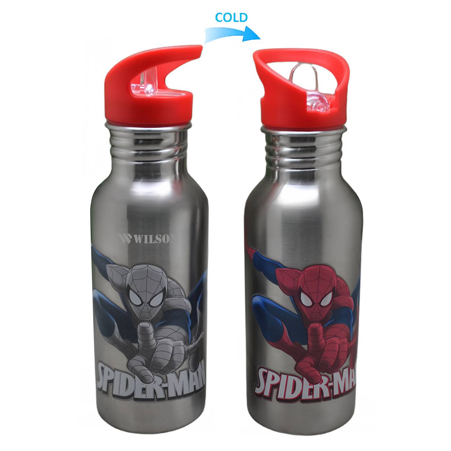17.5oz Stainless Steel Cool Color Changing Bottle