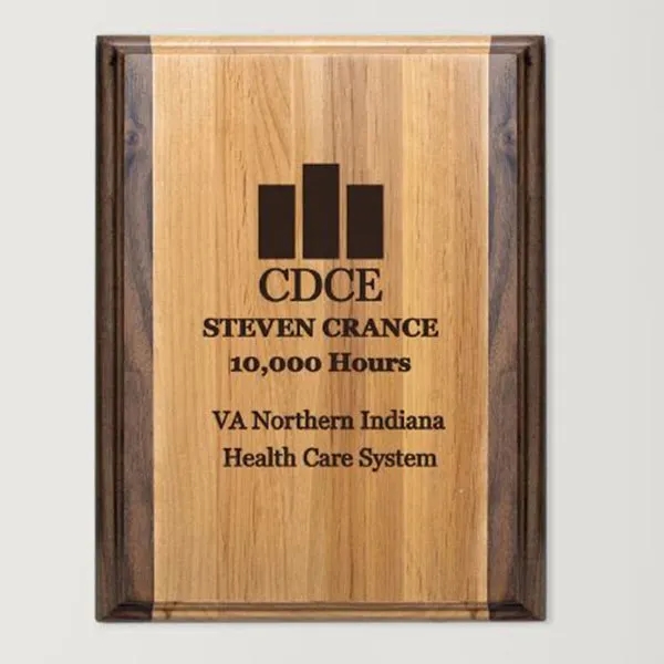 Alder Award Plaque 3