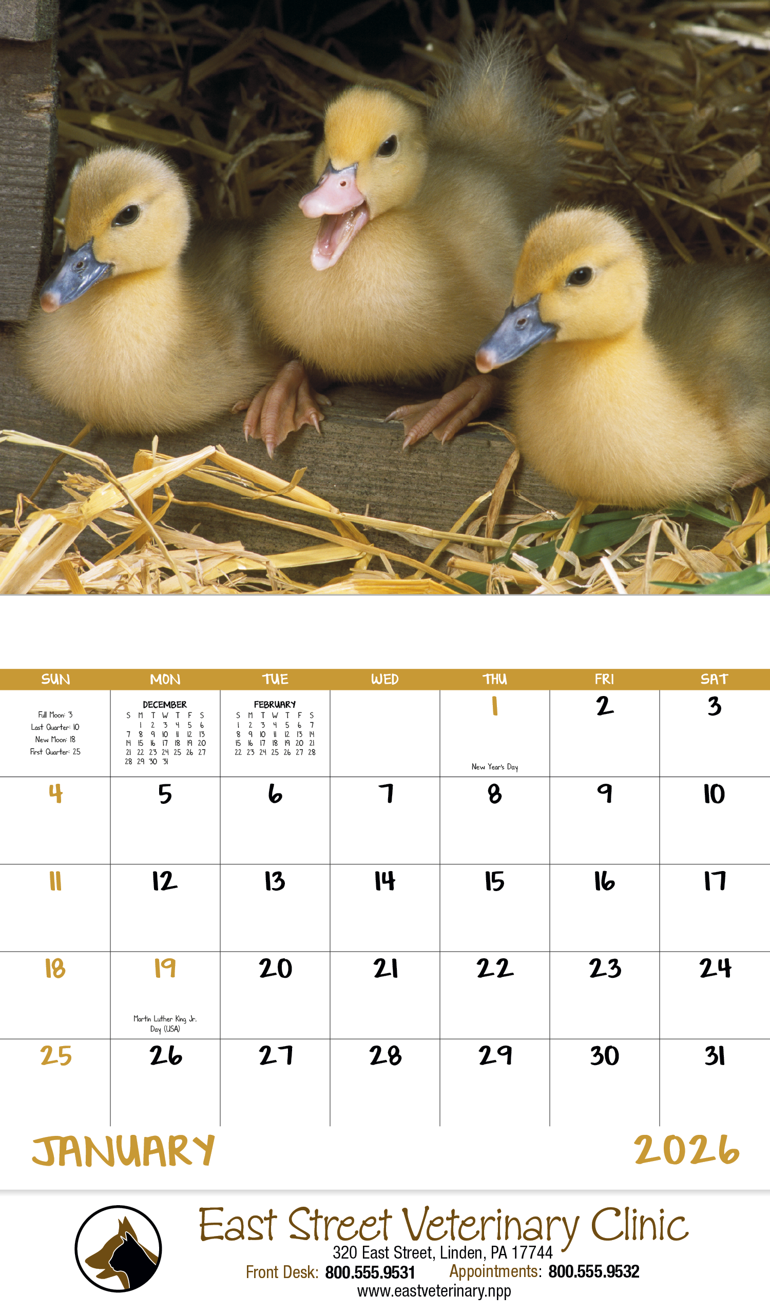 Good Value™ Baby Farm Animals - Stapled Calendar 14