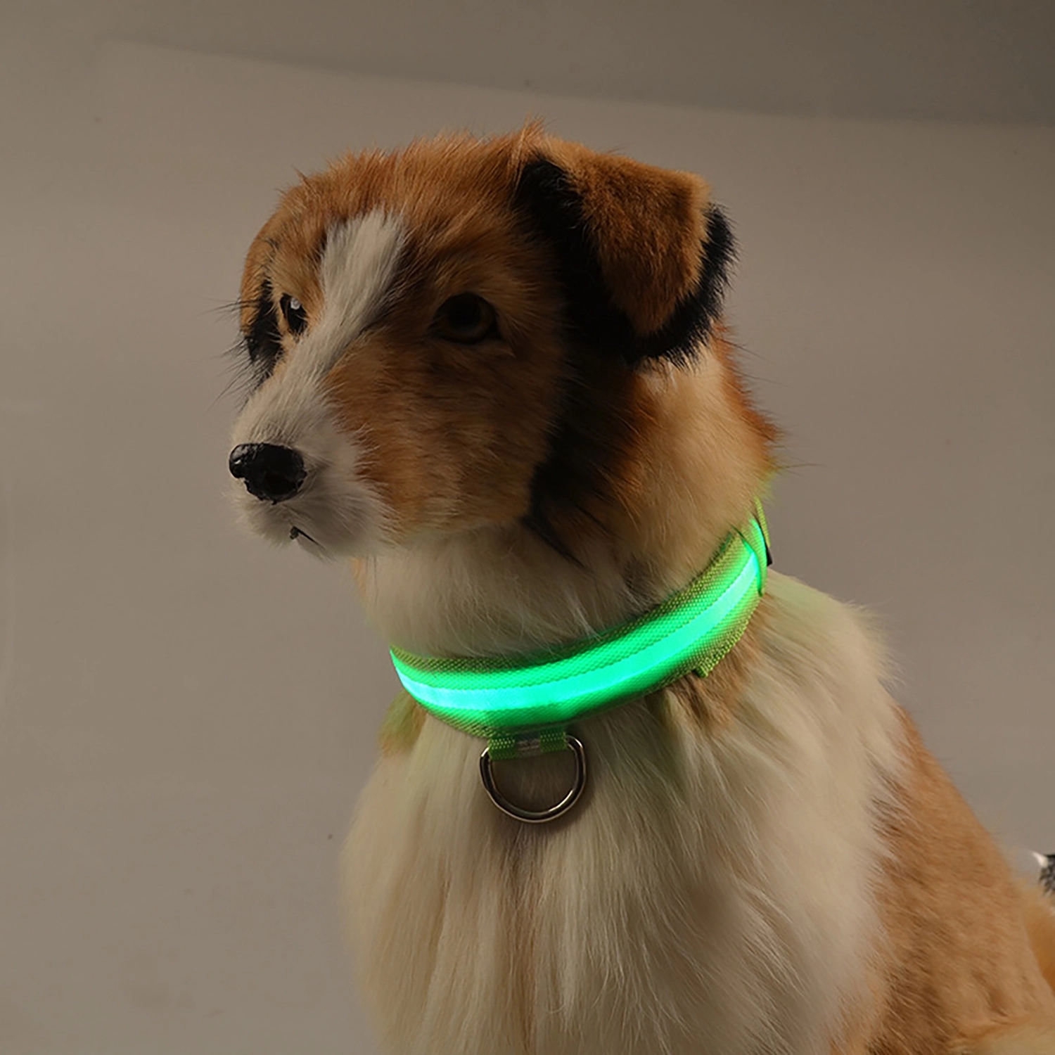 Led Dog Collar 3