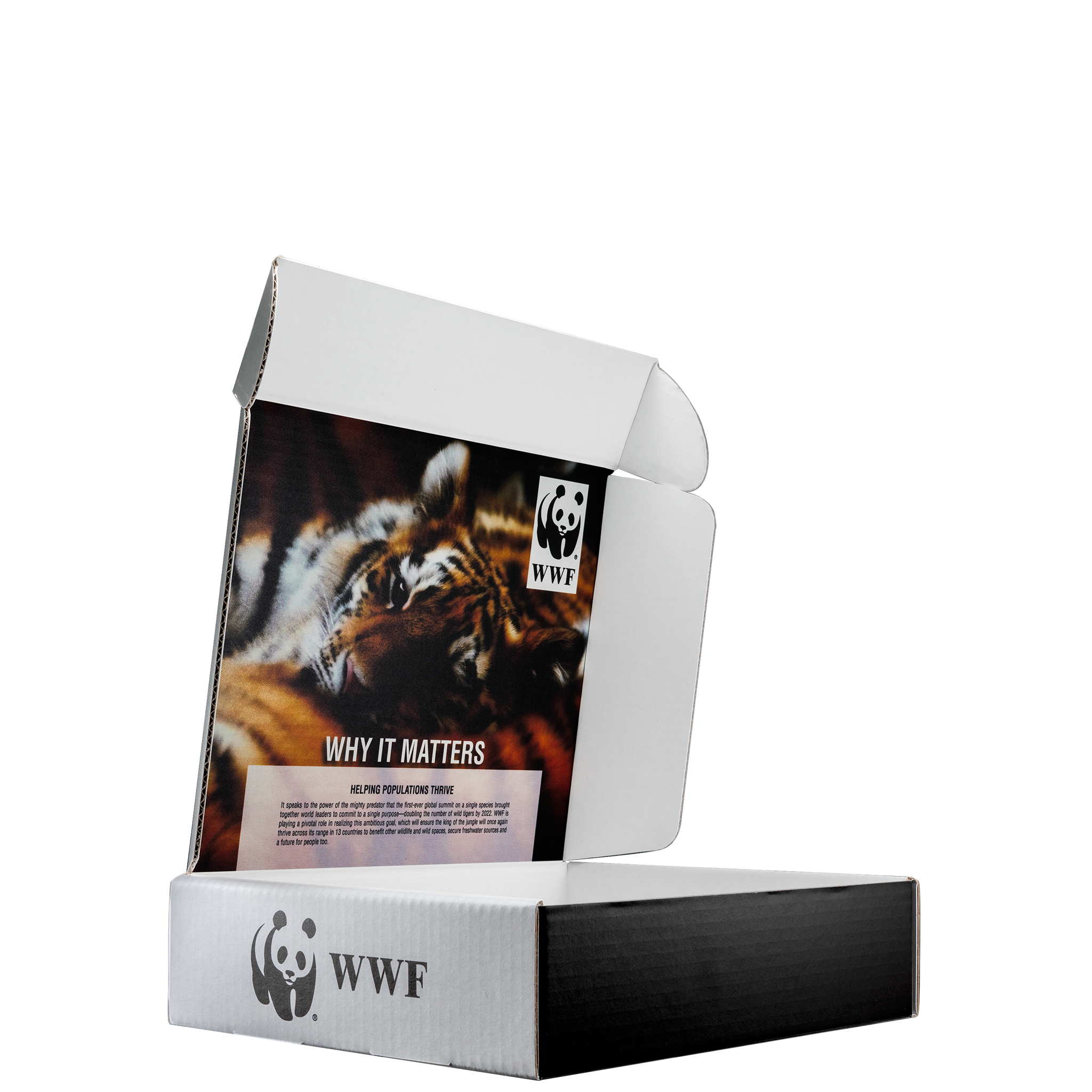 Mailing Box, B-Flute12" x 10" x 3" - White - D - 360 sq in 2