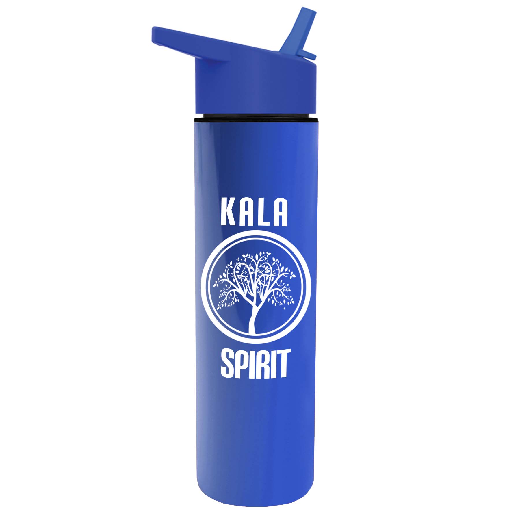 The Chiller - 16 oz. Double Wall Insulated Bottle with Flip Straw 20