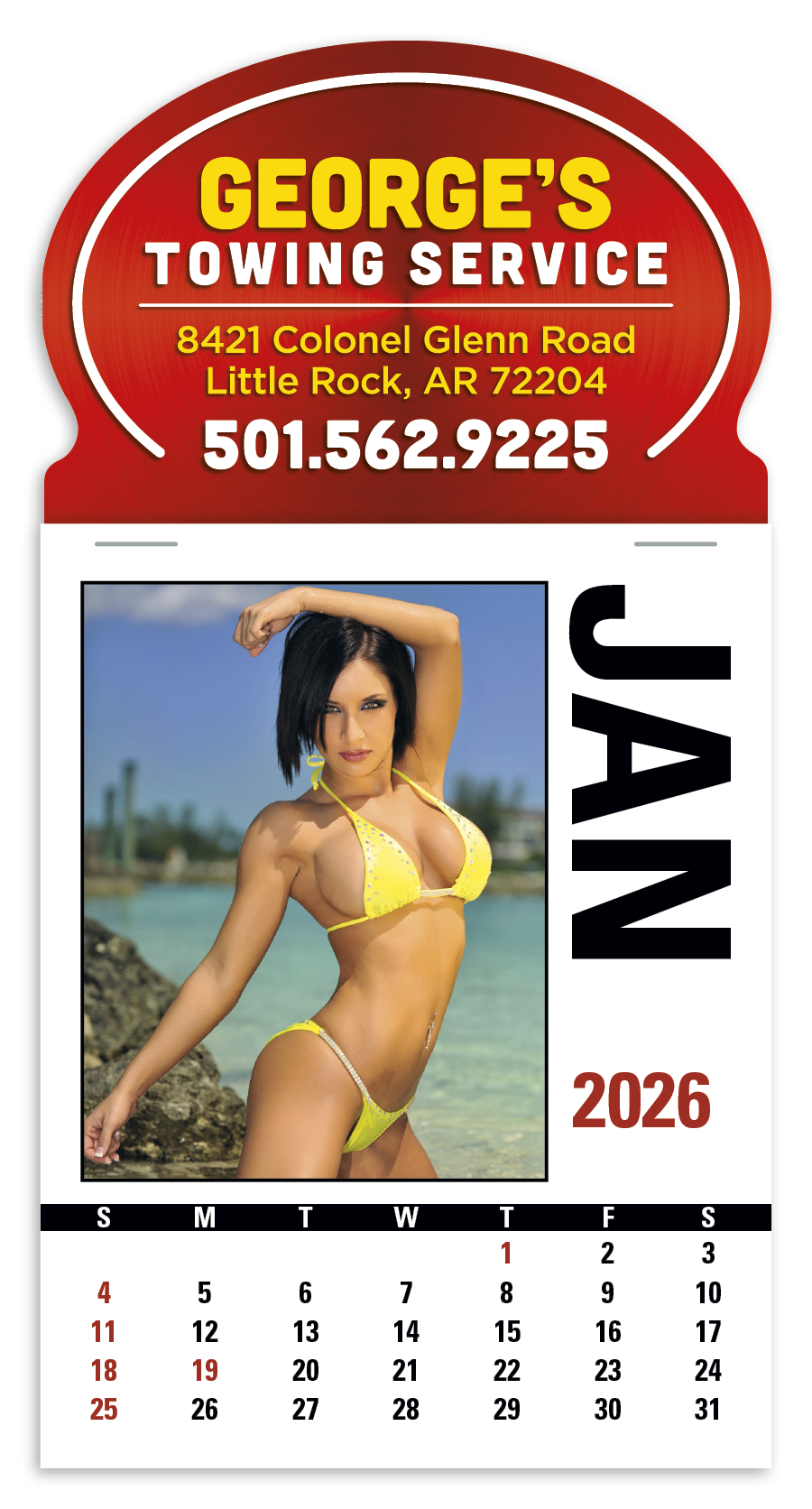 Triumph® Calendars Press-N-Stick Full-Color Header Sunshine Girls Calendar 2