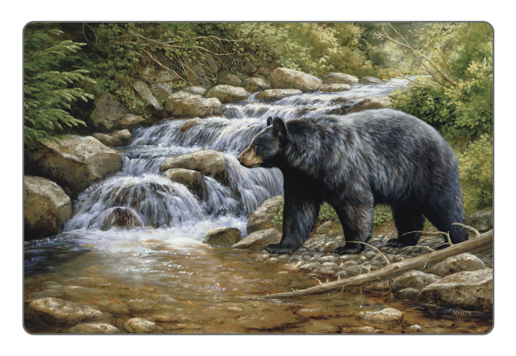 Triumph® Calendars Wildlife Art Pocket Calendar 16