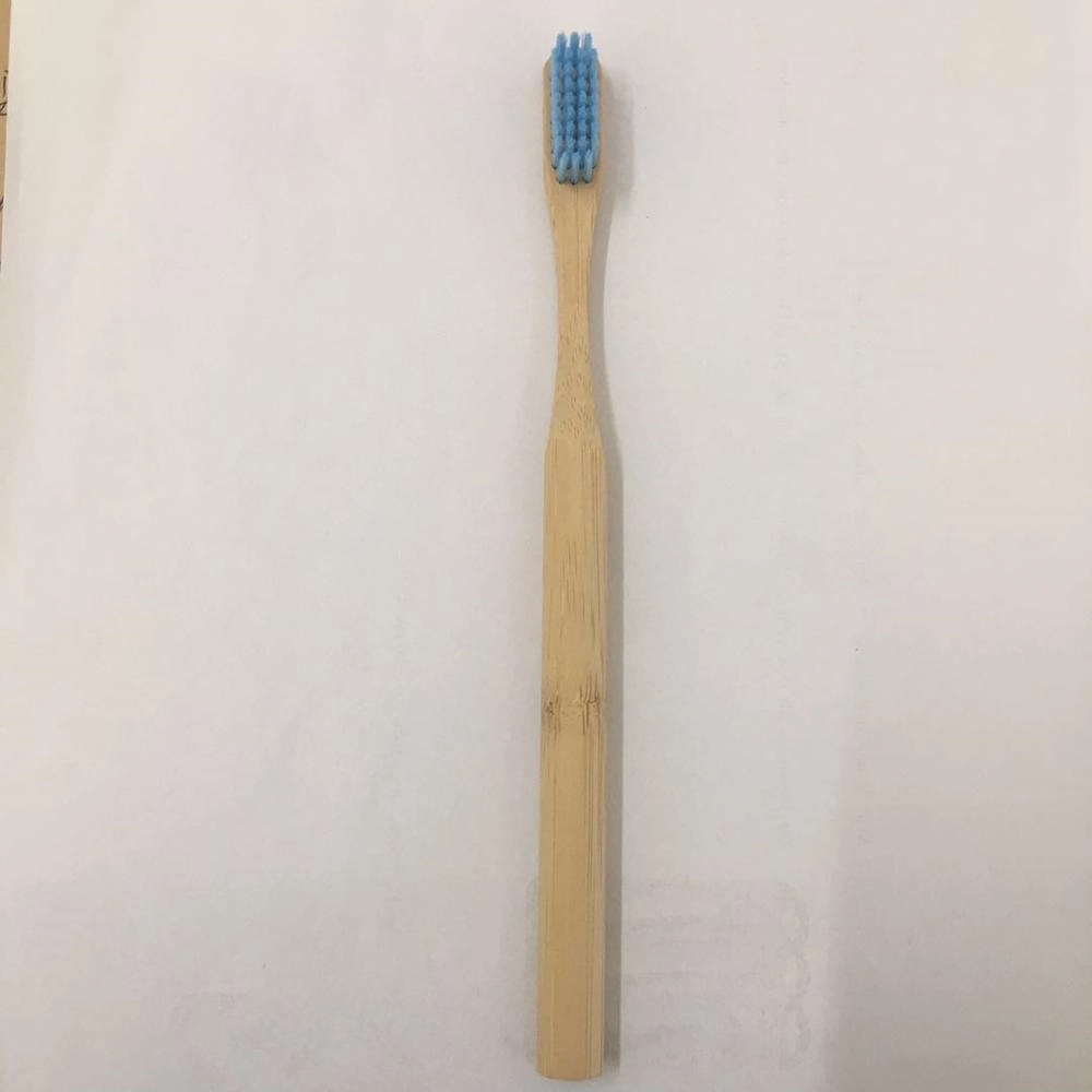 Eco Bamboo Toothbrush with case 2