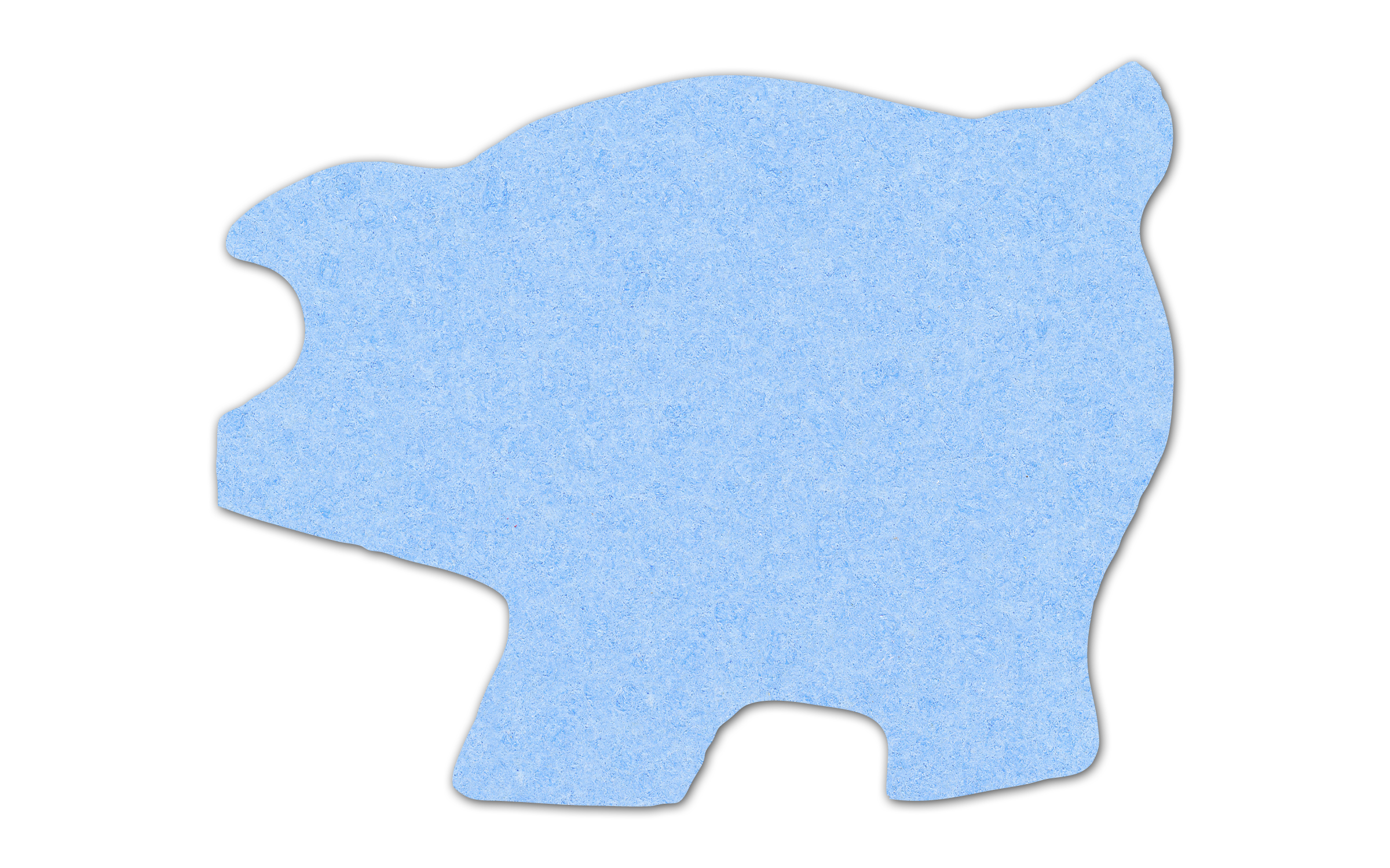 Piggy Bank Compressed Sponge 5PG 8