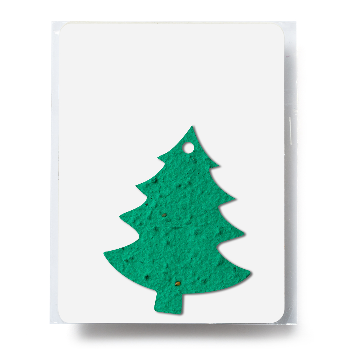 Bloomin® Tree Shaped Plantable Gift Pack 2