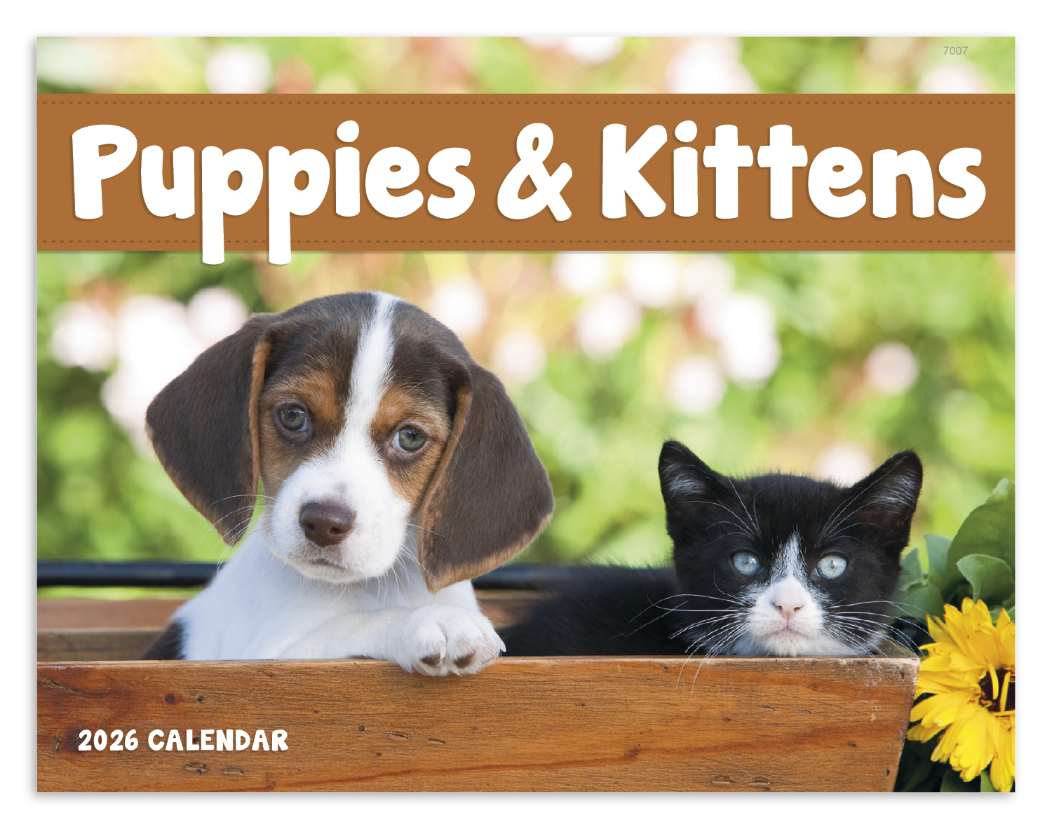 Good Value™ Puppies & Kittens - Window Calendar 1