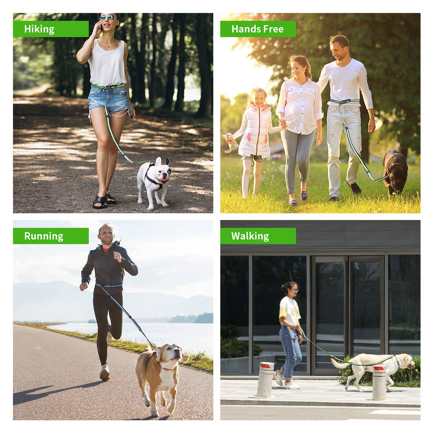 Pet leashes 7