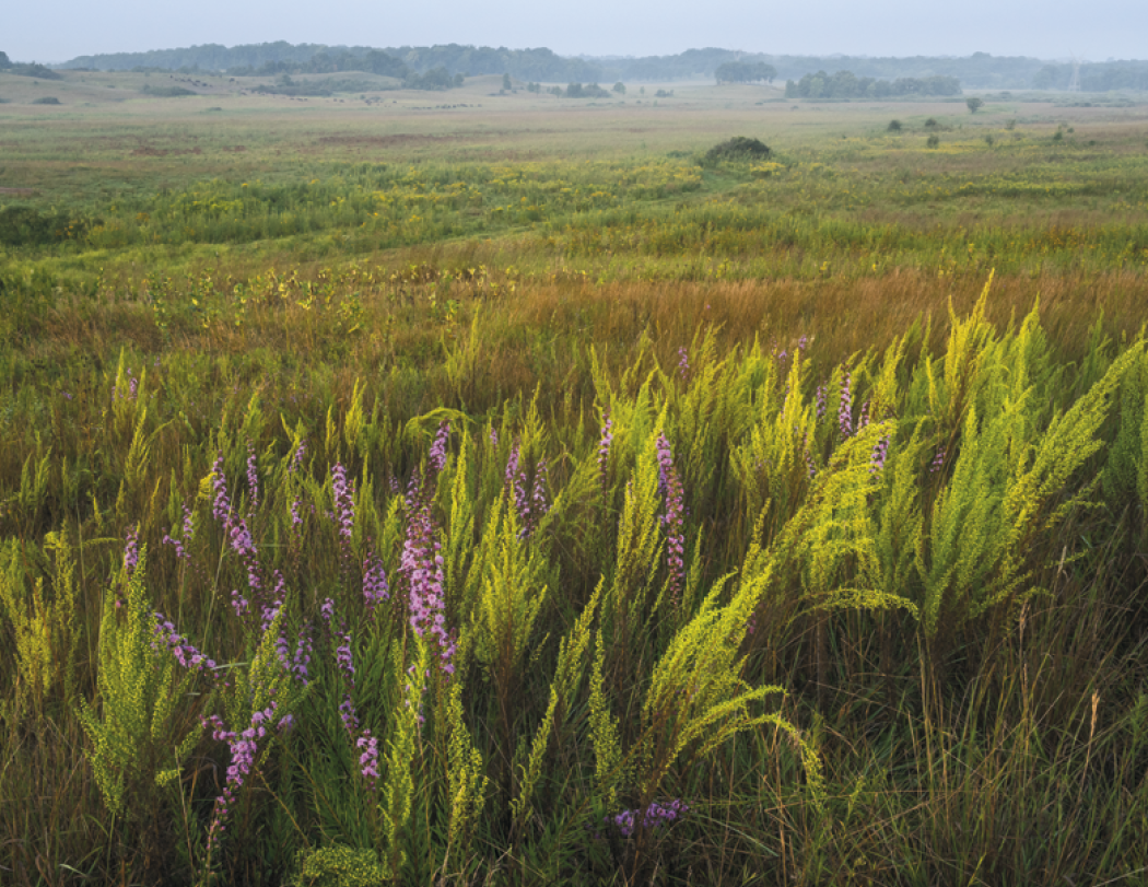 HotLine® Products Contemplations Appointment Calendar - Spiral 67