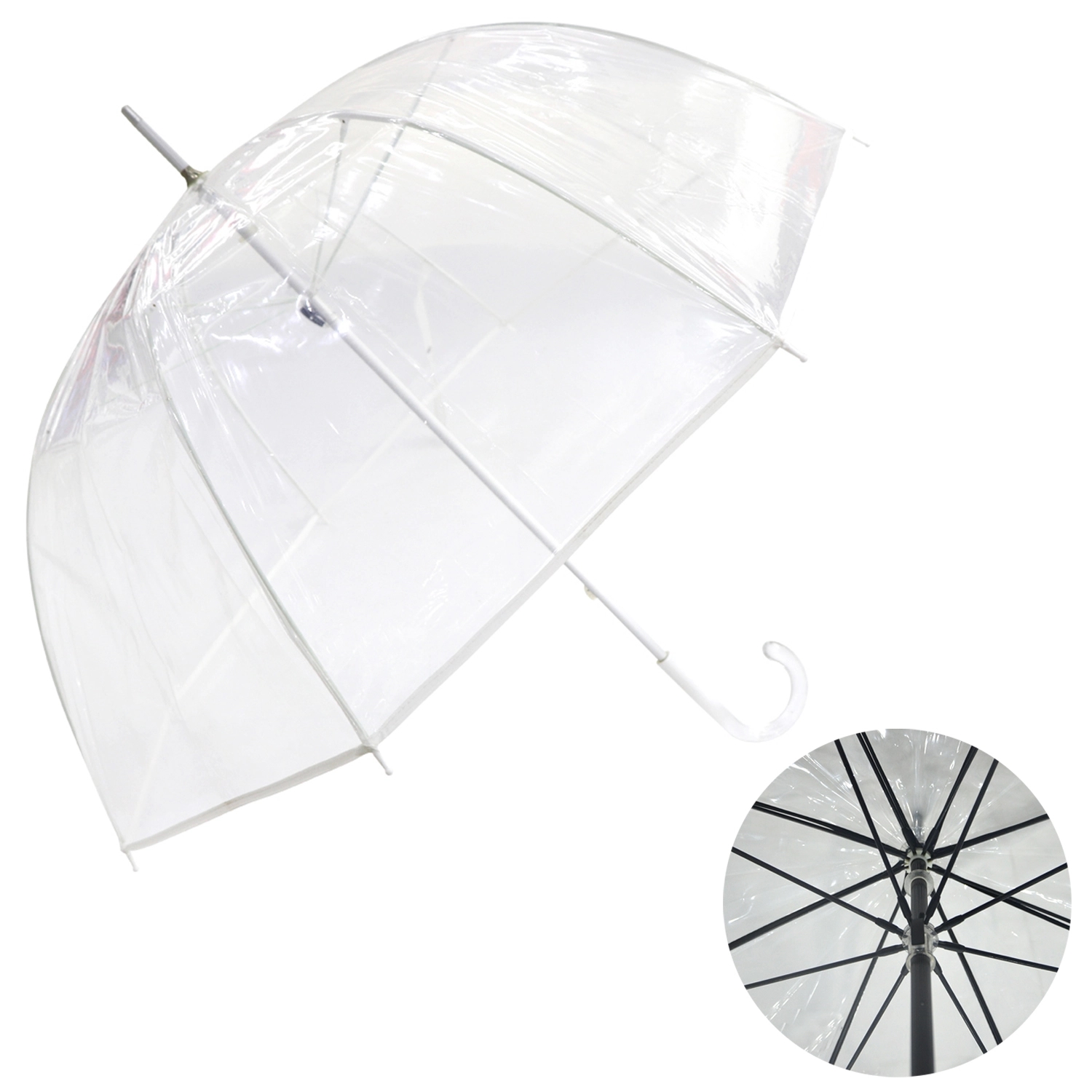 Transparent Umbrella 2