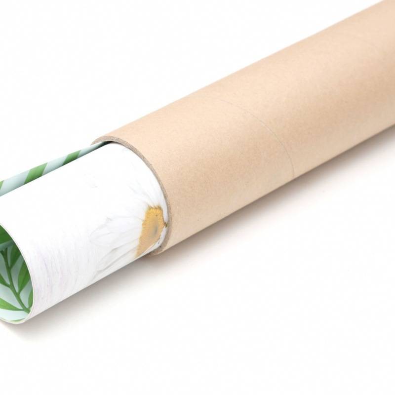 Kraft Paper Poster Tube 4
