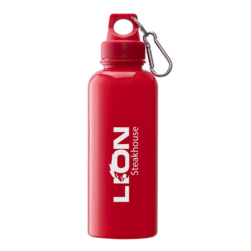 Brio 20 oz. PS Water Bottle w/ Carabiner 9