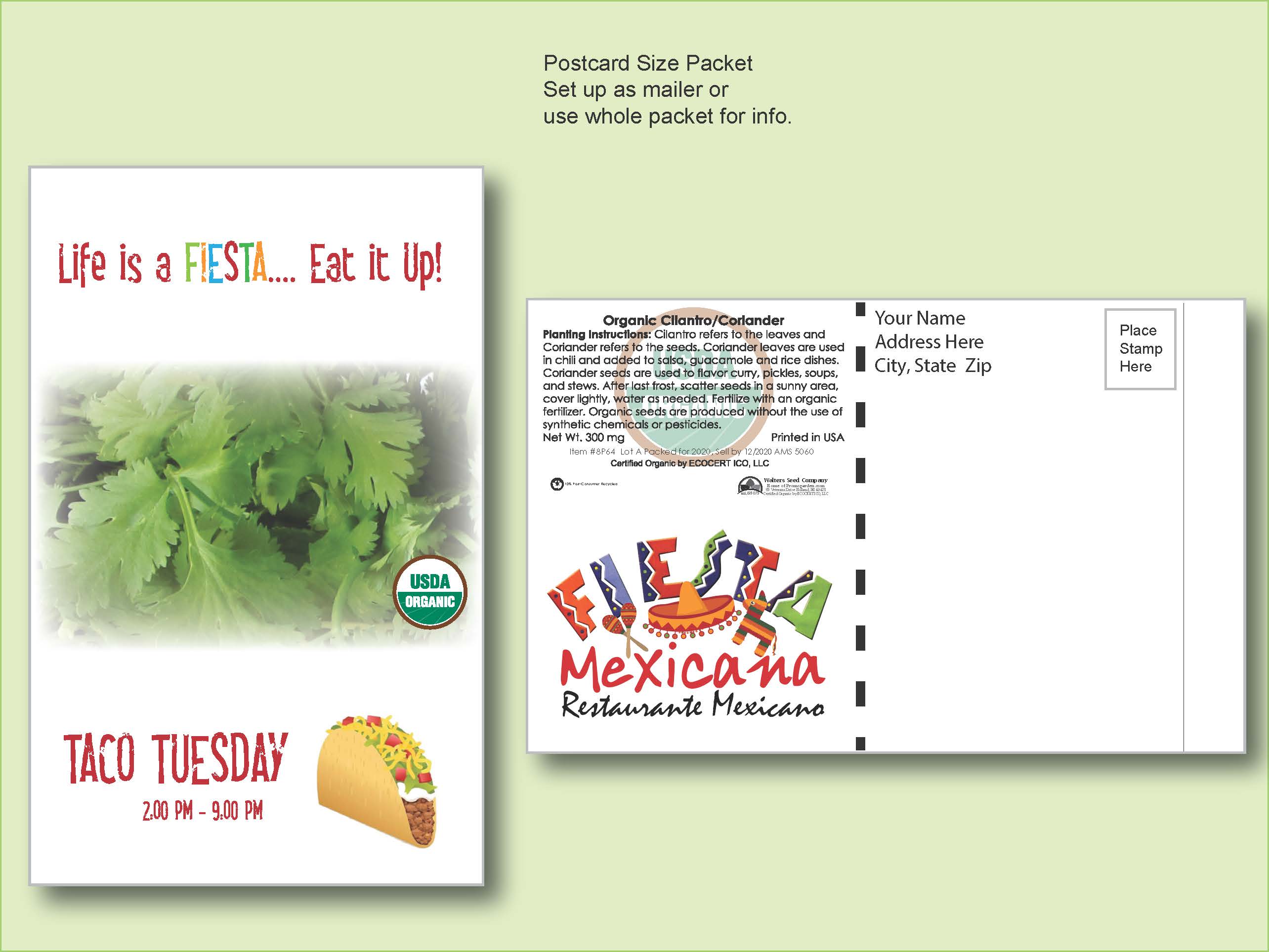 Organic Cilantro/Coriander Herb Seed Packet - Postcard Mailer Size 4" x 6.5" 1