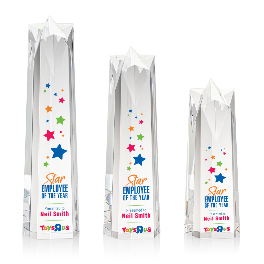 Ellesmere Star VividPrint™ Award 1