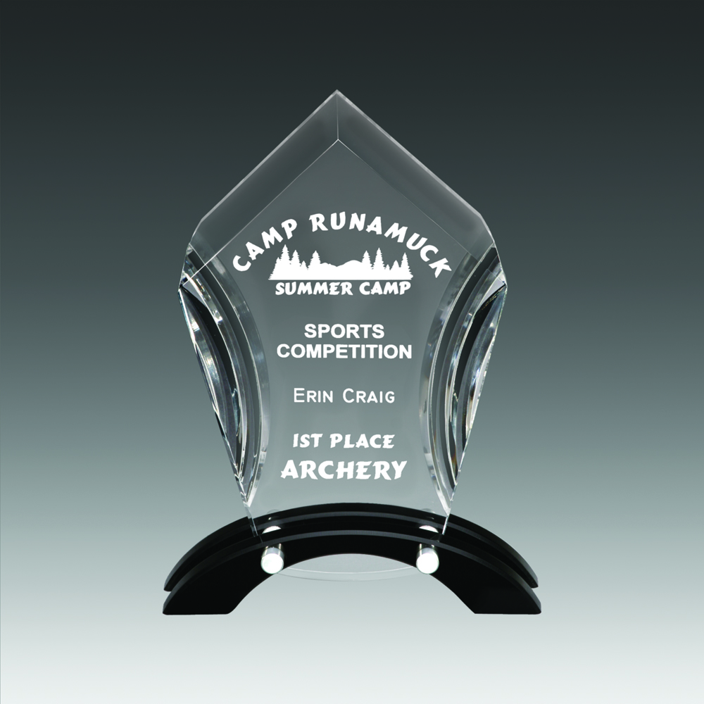 7 3/8" Fasten Stand Up Ascent Award 1