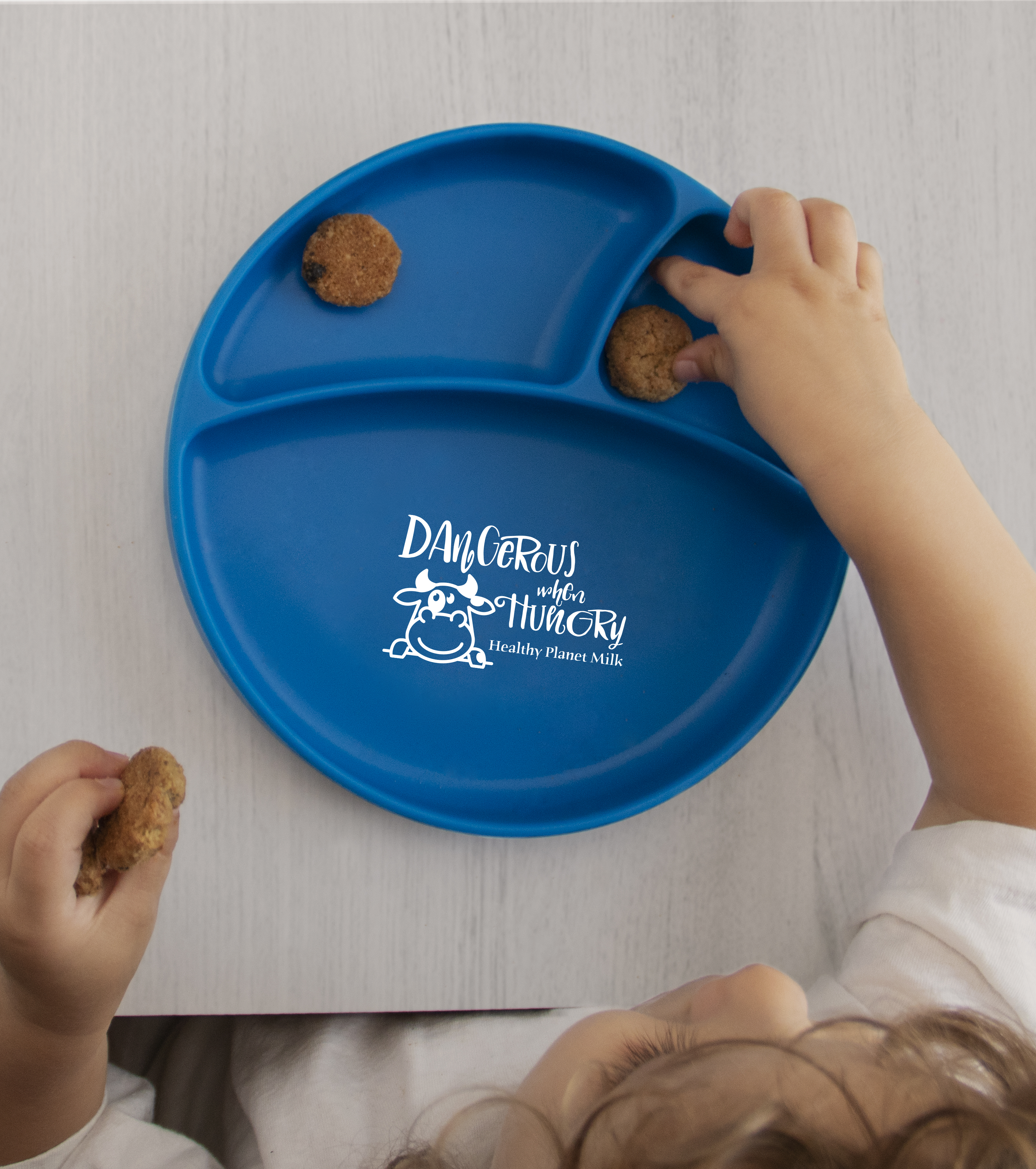 Silicone Suction Plate 5