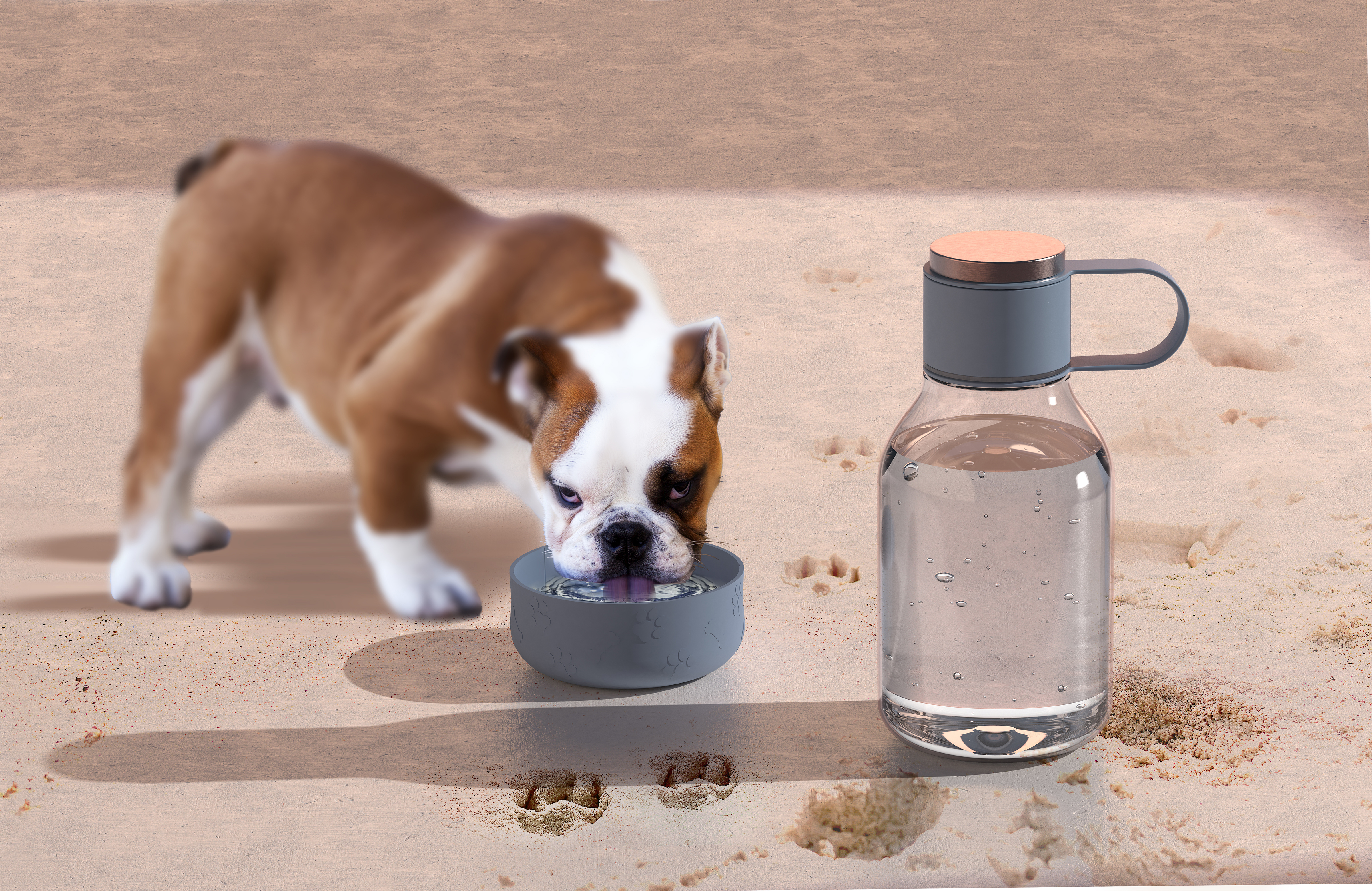 Asobu 50 Oz. Dog Bowl Bottle Lite