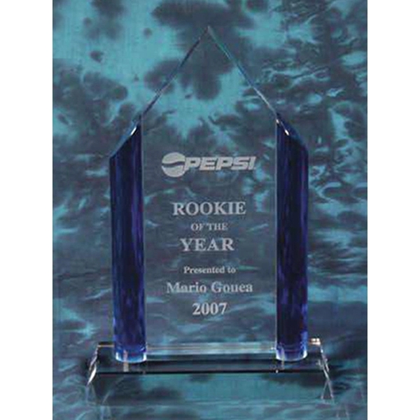 Award 1