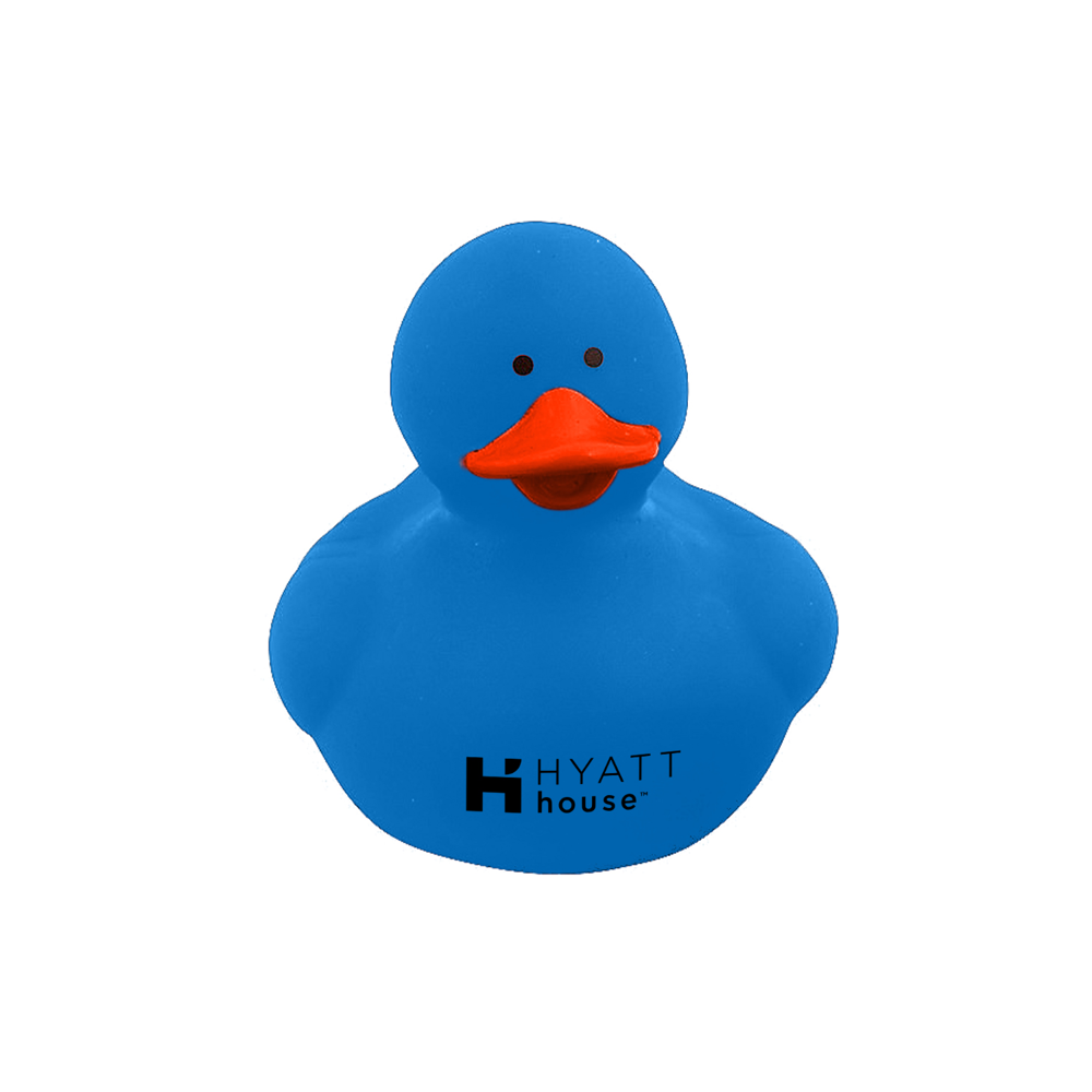Colorful Duck 6