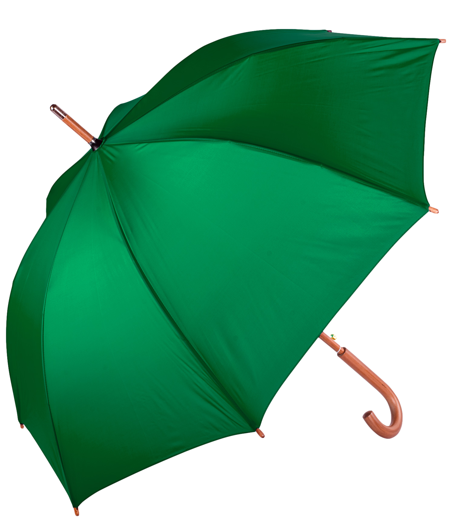 The Hotel Umbrella 9