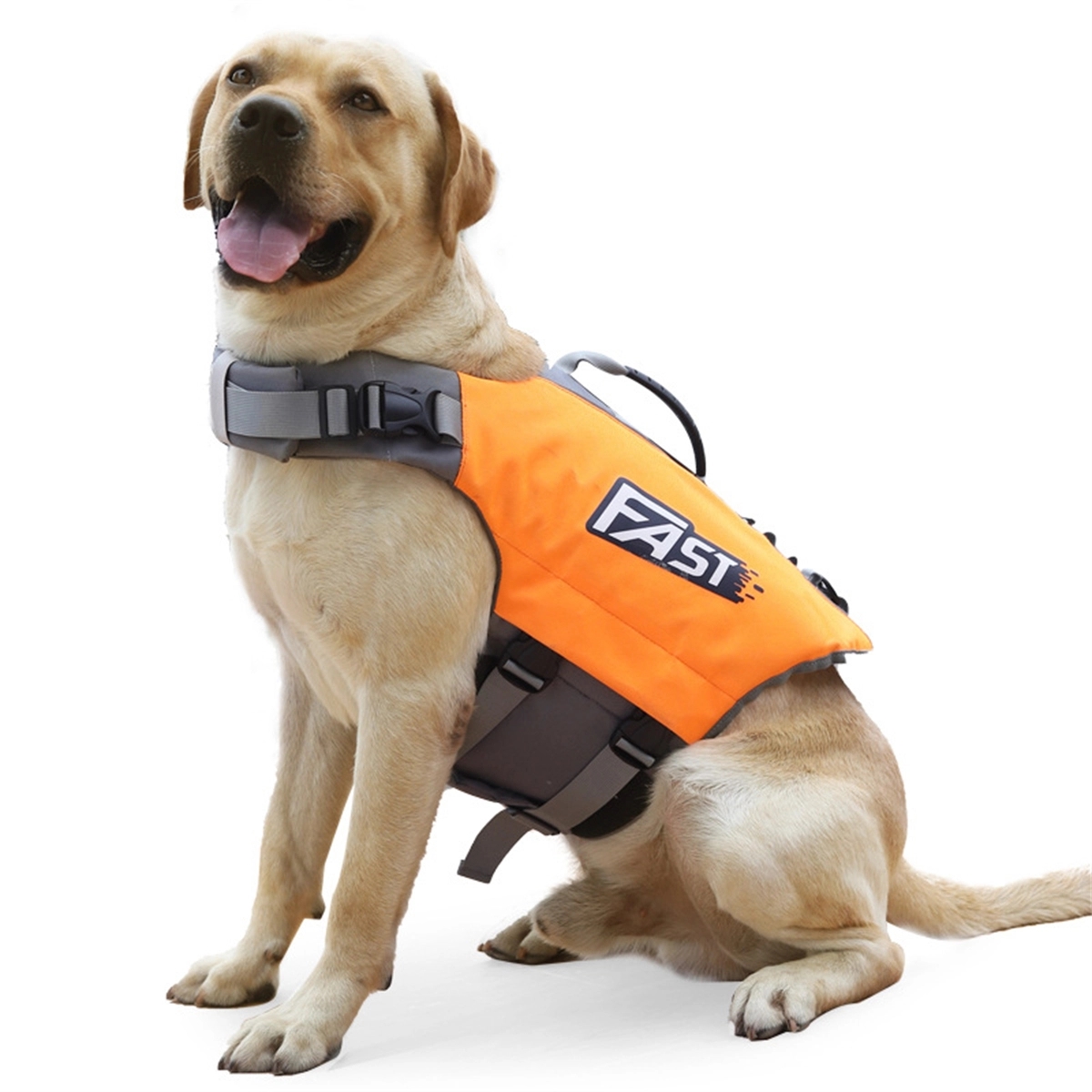 Life Jacket For Dogs 3