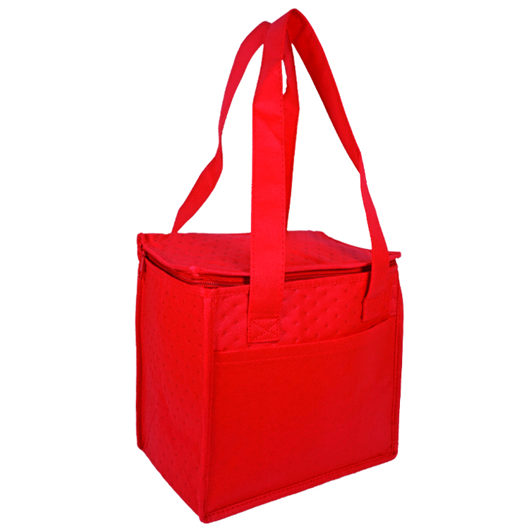 Denali Insulated Convenient Cooler 13