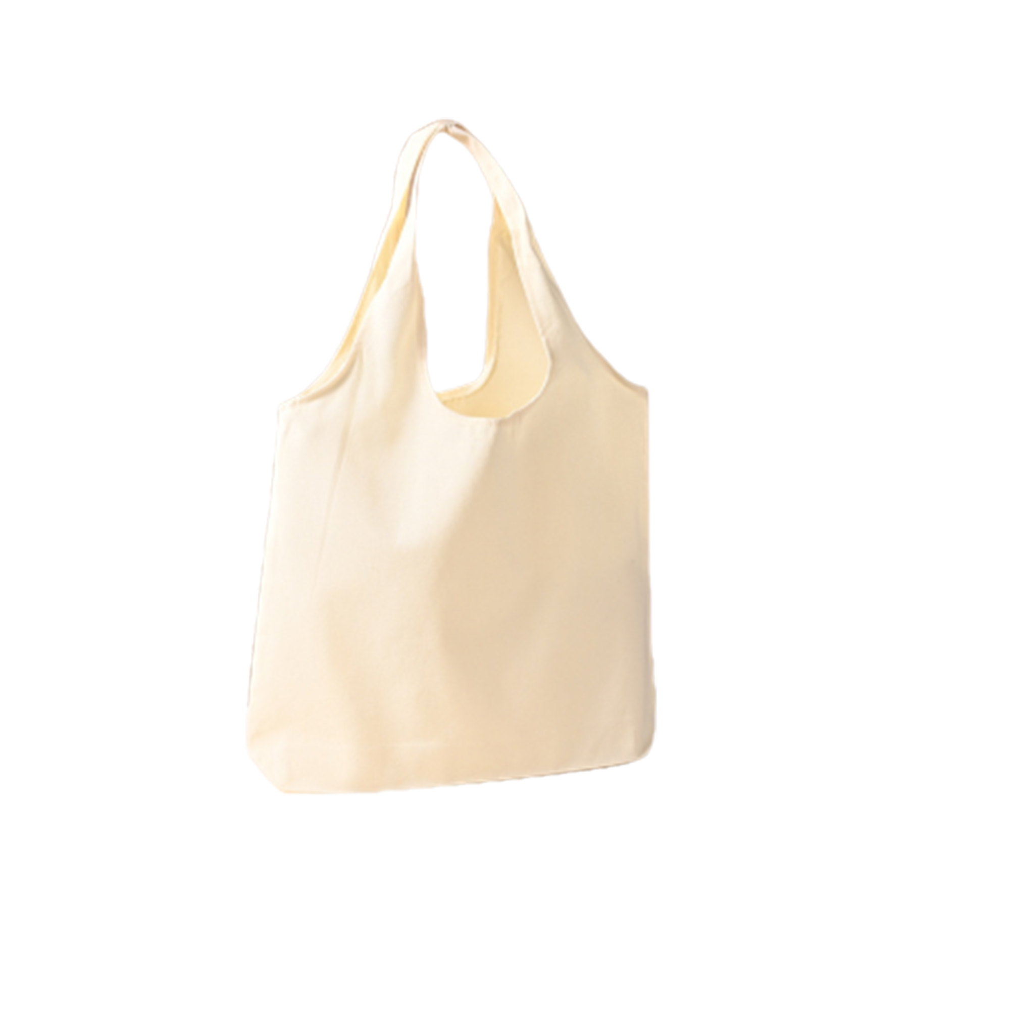Reusable Canvas Shopping Bags MOQ50 4