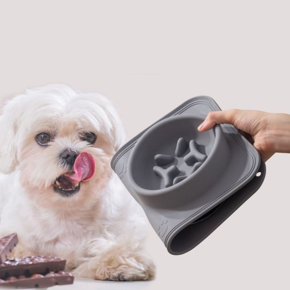 Pet Health Bowl 2