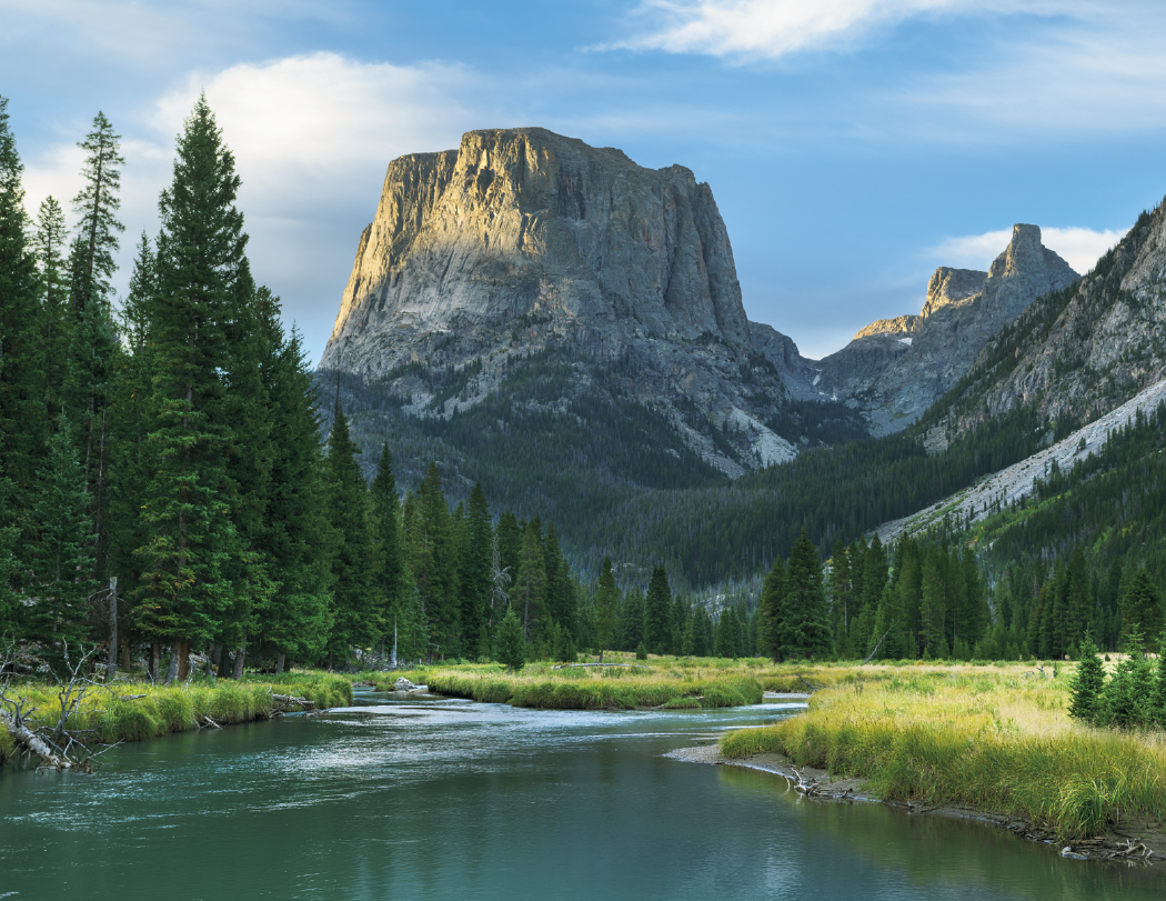 HotLine® Products Catholic Reflections Appointment Calendar - Stapled 55