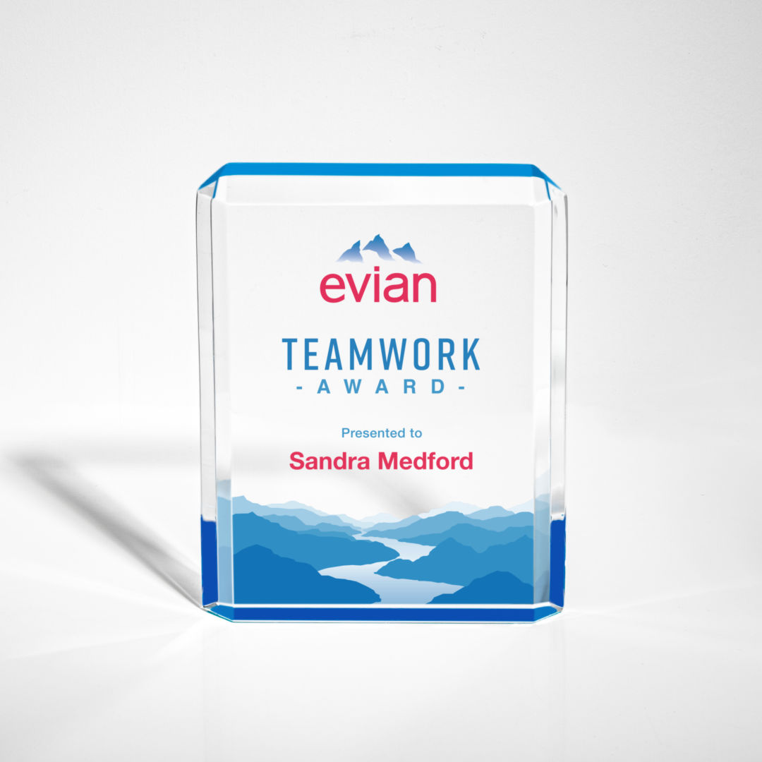 Paragon VividPrint™ Award 8
