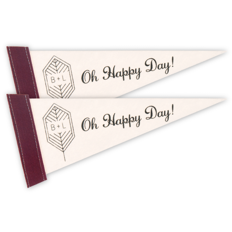 4" x 10" White Felt Pennant 10