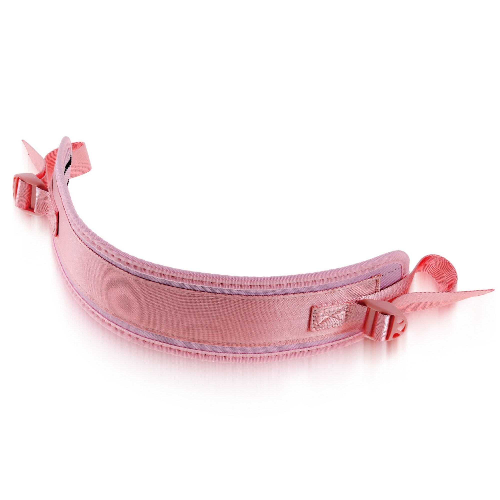 Premium Hip Thrust Belt for Dumbbells 2