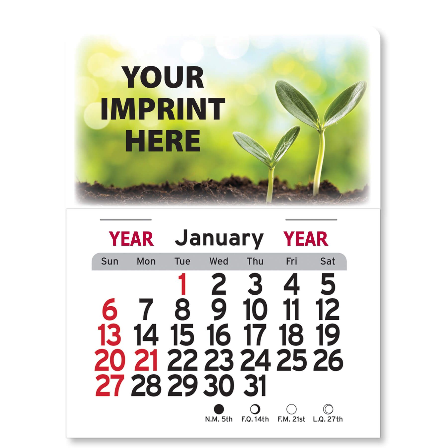 Adhesive Peel-N-Stick® Calendar - Rectangle 4